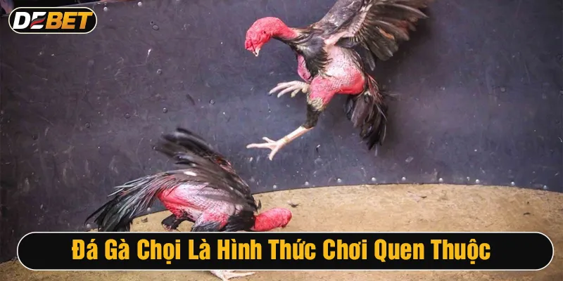 Đá gà chọi là hình thức cá cược quen thuộc