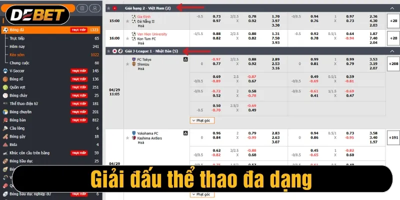 Giải đấu thể thao đa dạng