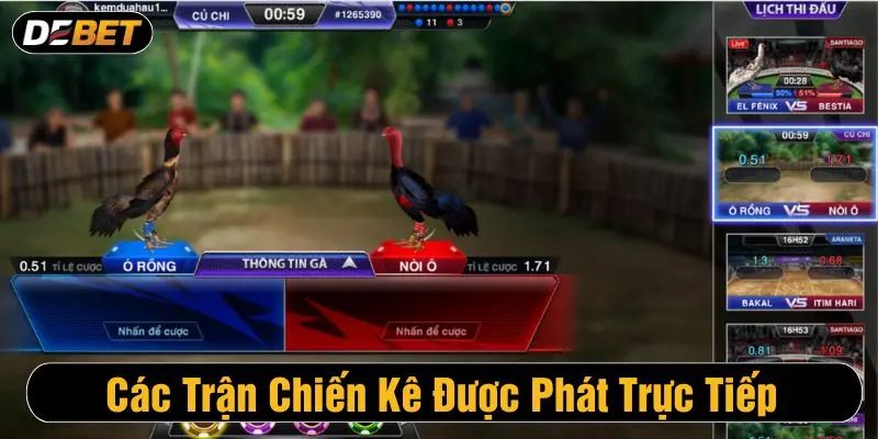 Các trận chiến kê được phát trực tiếp từ những trường gà chuyên nghiệp, uy tín 